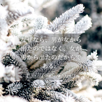 Picture 05 - コリント人への第一の手紙 11:8 JPN - なぜなら、男が女から出たのではな - Bible Verse Picture