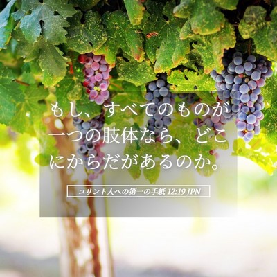 Picture 05 - コリント人への第一の手紙 12:19 JPN - もし、すべてのものが一つの肢体な - Bible Verse Picture