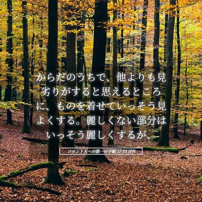 Picture 05 - コリント人への第一の手紙 12:23 JPN - からだのうちで、他よりも見劣りが - Bible Verse Picture