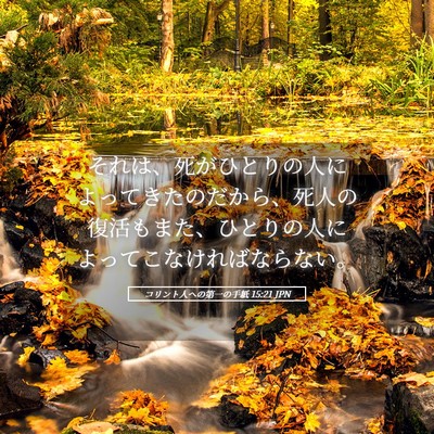 Picture 05 - コリント人への第一の手紙 15:21 JPN - それは、死がひとりの人によってき - Bible Verse Picture