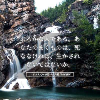 Picture 05 - コリント人への第一の手紙 15:36 JPN - おろかな人である。あなたのまくも - Bible Verse Picture