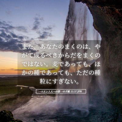 Picture 05 - コリント人への第一の手紙 15:37 JPN - また、あなたのまくのは、やがて成 - Bible Verse Picture