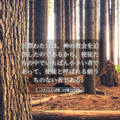 Picture 05 - コリント人への第一の手紙 15:9 JPN - 実際わたしは、神の教会を迫害した - Bible Verse Picture