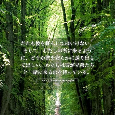 Picture 05 - コリント人への第一の手紙 16:11 JPN - だれも彼を軽んじてはいけない。そ - Bible Verse Picture