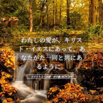 Picture 05 - コリント人への第一の手紙 16:24 JPN - わたしの愛が、キリスト・イエスに - Bible Verse Picture
