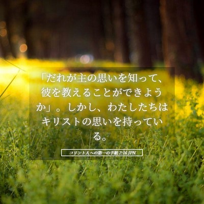 Picture 05 - コリント人への第一の手紙 2:16 JPN - 「だれが主の思いを知って、彼を教 - Bible Verse Picture
