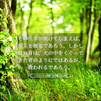 Picture 05 - コリント人への第一の手紙 3:15 JPN - その仕事が焼けてしまえば、損失を - Bible Verse Picture