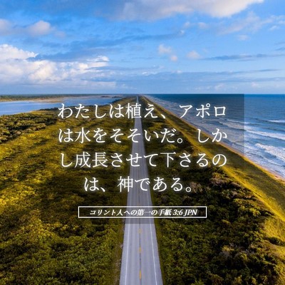 Picture 05 - コリント人への第一の手紙 3:6 JPN - わたしは植え、アポロは水をそそい - Bible Verse Picture
