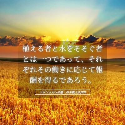 Picture 05 - コリント人への第一の手紙 3:8 JPN - 植える者と水をそそぐ者とは一つで - Bible Verse Picture