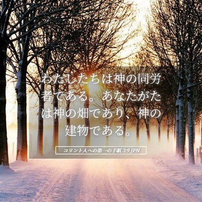 Picture 05 - コリント人への第一の手紙 3:9 JPN - わたしたちは神の同労者である。あ - Bible Verse Picture