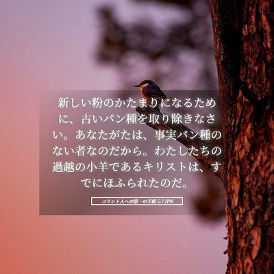 Picture 05 - コリント人への第一の手紙 5:7 JPN - 新しい粉のかたまりになるために、 - Bible Verse Picture