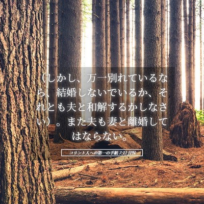 Picture 05 - コリント人への第一の手紙 7:11 JPN - （しかし、万一別れているなら、結 - Bible Verse Picture