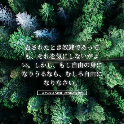 Picture 05 - コリント人への第一の手紙 7:21 JPN - 召されたとき奴隷であっても、それ - Bible Verse Picture