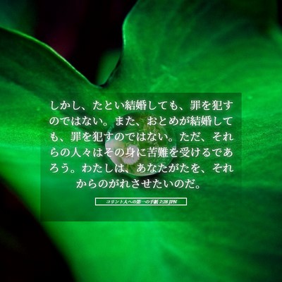 Picture 05 - コリント人への第一の手紙 7:28 JPN - しかし、たとい結婚しても、罪を犯 - Bible Verse Picture