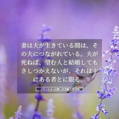 Picture 05 - コリント人への第一の手紙 7:39 JPN - 妻は夫が生きている間は、その夫に - Bible Verse Picture