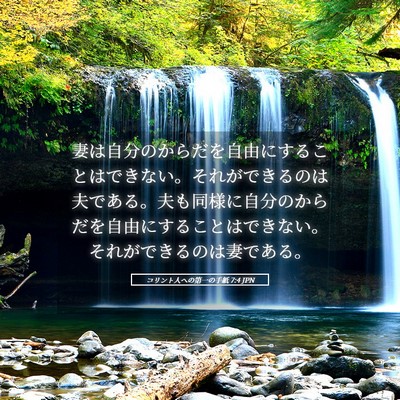 Picture 05 - コリント人への第一の手紙 7:4 JPN - 妻は自分のからだを自由にすること - Bible Verse Picture