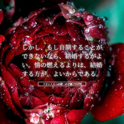 Picture 05 - コリント人への第一の手紙 7:9 JPN - しかし、もし自制することができな - Bible Verse Picture