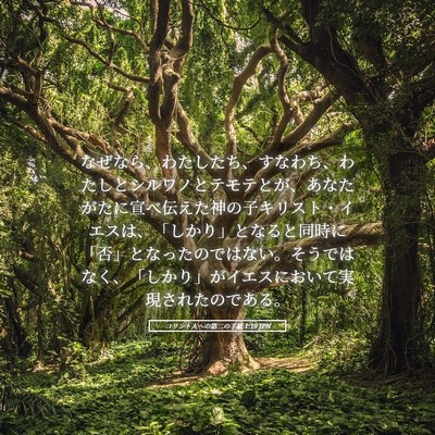 Picture 05 - コリント人への第二の手紙 1:19 JPN - なぜなら、わたしたち、すなわち、 - Bible Verse Picture