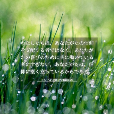 Picture 05 - コリント人への第二の手紙 1:24 JPN - わたしたちは、あなたがたの信仰を - Bible Verse Picture