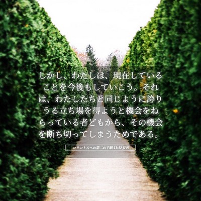 Picture 05 - コリント人への第二の手紙 11:12 JPN - しかし、わたしは、現在しているこ - Bible Verse Picture