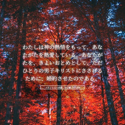 Picture 05 - コリント人への第二の手紙 11:2 JPN - わたしは神の熱情をもって、あなた - Bible Verse Picture