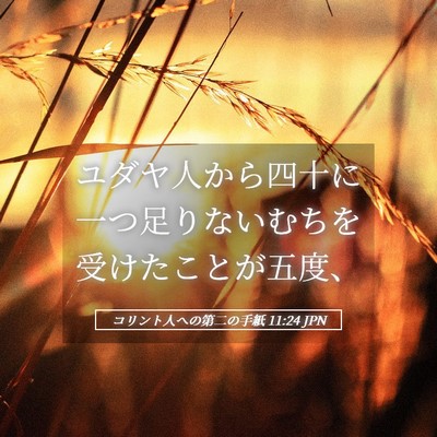 Picture 05 - コリント人への第二の手紙 11:24 JPN - ユダヤ人から四十に一つ足りないむ - Bible Verse Picture