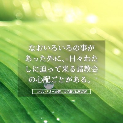 Picture 05 - コリント人への第二の手紙 11:28 JPN - なおいろいろの事があった外に、日 - Bible Verse Picture