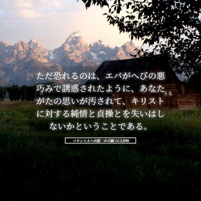 Picture 05 - コリント人への第二の手紙 11:3 JPN - ただ恐れるのは、エバがへびの悪巧 - Bible Verse Picture