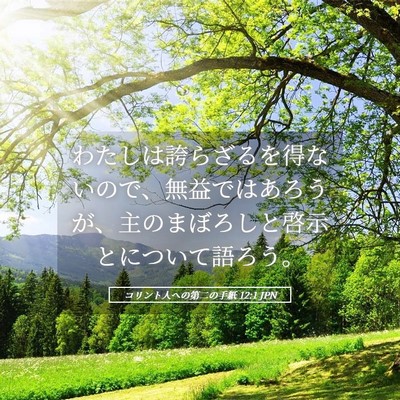Picture 05 - コリント人への第二の手紙 12:1 JPN - わたしは誇らざるを得ないので、無 - Bible Verse Picture