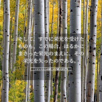 Picture 05 - コリント人への第二の手紙 3:10 JPN - そして、すでに栄光を受けたものも - Bible Verse Picture