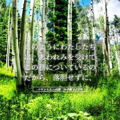 Picture 05 - コリント人への第二の手紙 4:1 JPN - このようにわたしたちは、あわれみ - Bible Verse Picture