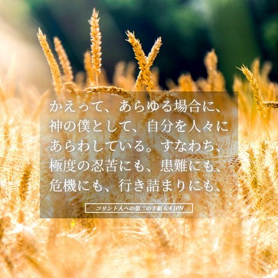 Picture 05 - コリント人への第二の手紙 6:4 JPN - かえって、あらゆる場合に、神の僕 - Bible Verse Picture