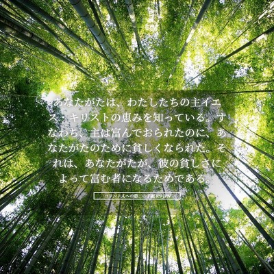 Picture 05 - コリント人への第二の手紙 8:9 JPN - あなたがたは、わたしたちの主イエ - Bible Verse Picture