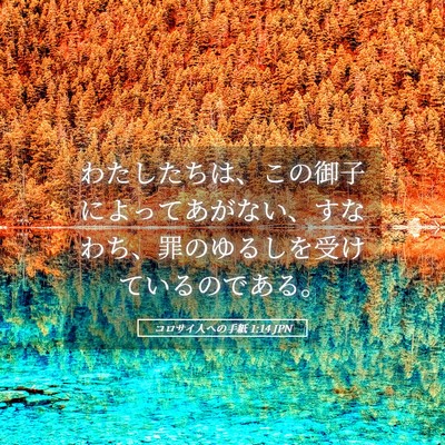 Picture 05 - コロサイ人への手紙 1:14 JPN - わたしたちは、この御子によってあ - Bible Verse Picture