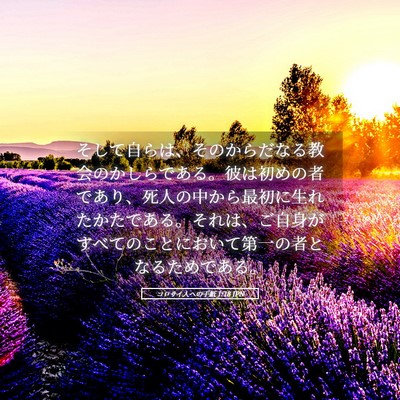 Picture 05 - コロサイ人への手紙 1:18 JPN - そして自らは、そのからだなる教会 - Bible Verse Picture