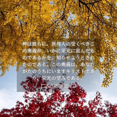 Picture 05 - コロサイ人への手紙 1:27 JPN - 神は彼らに、異邦人の受くべきこの - Bible Verse Picture
