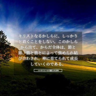 Picture 05 - コロサイ人への手紙 2:19 JPN - キリストなるかしらに、しっかりと - Bible Verse Picture