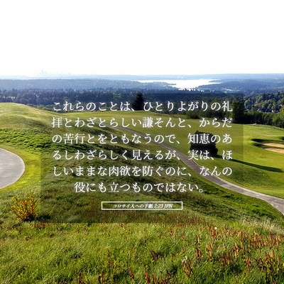 Picture 05 - コロサイ人への手紙 2:23 JPN - これらのことは、ひとりよがりの礼 - Bible Verse Picture