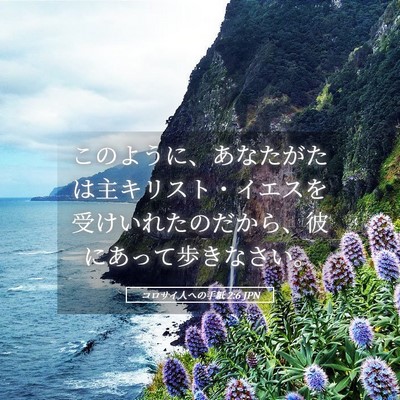 Picture 05 - コロサイ人への手紙 2:6 JPN - このように、あなたがたは主キリス - Bible Verse Picture