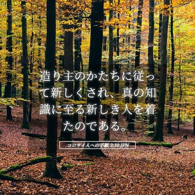 Picture 05 - コロサイ人への手紙 3:10 JPN - 造り主のかたちに従って新しくされ - Bible Verse Picture