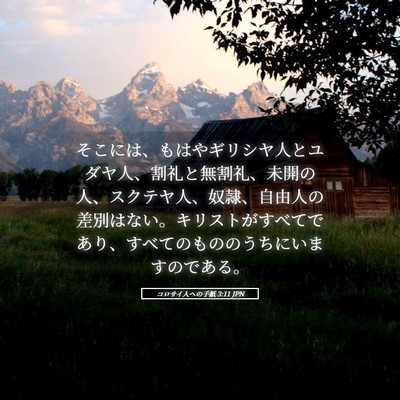 Picture 05 - コロサイ人への手紙 3:11 JPN - そこには、もはやギリシヤ人とユダ - Bible Verse Picture