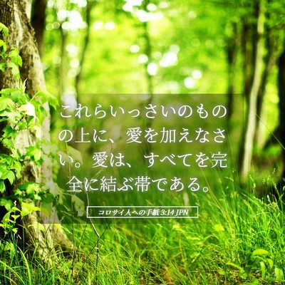 Picture 05 - コロサイ人への手紙 3:14 JPN - これらいっさいのものの上に、愛を - Bible Verse Picture
