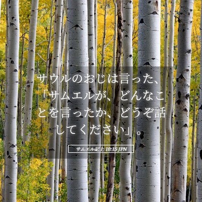 Picture 05 - サムエル記上 10:15 JPN - サウルのおじは言った、「サムエル - Bible Verse Picture