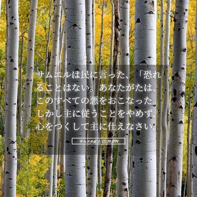 Picture 05 - サムエル記上 12:20 JPN - サムエルは民に言った、「恐れるこ - Bible Verse Picture