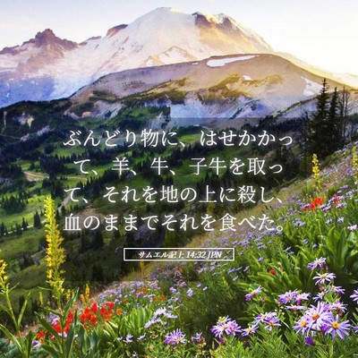 Picture 05 - サムエル記上 14:32 JPN - ぶんどり物に、はせかかって、羊、 - Bible Verse Picture