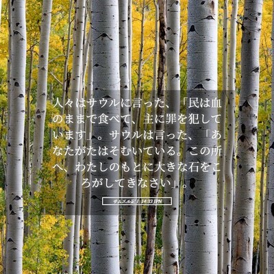 Picture 05 - サムエル記上 14:33 JPN - 人々はサウルに言った、「民は血の - Bible Verse Picture