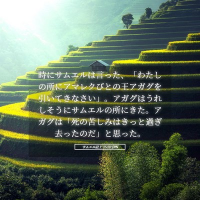 Picture 05 - サムエル記上 15:32 JPN - 時にサムエルは言った、「わたしの - Bible Verse Picture