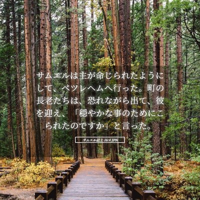 Picture 05 - サムエル記上 16:4 JPN - サムエルは主が命じられたようにし - Bible Verse Picture