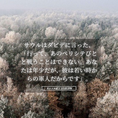 Picture 05 - サムエル記上 17:33 JPN - サウルはダビデに言った、「行って - Bible Verse Picture