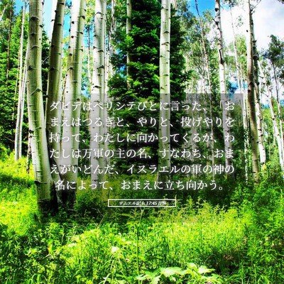 Picture 05 - サムエル記上 17:45 JPN - ダビデはペリシテびとに言った、「 - Bible Verse Picture